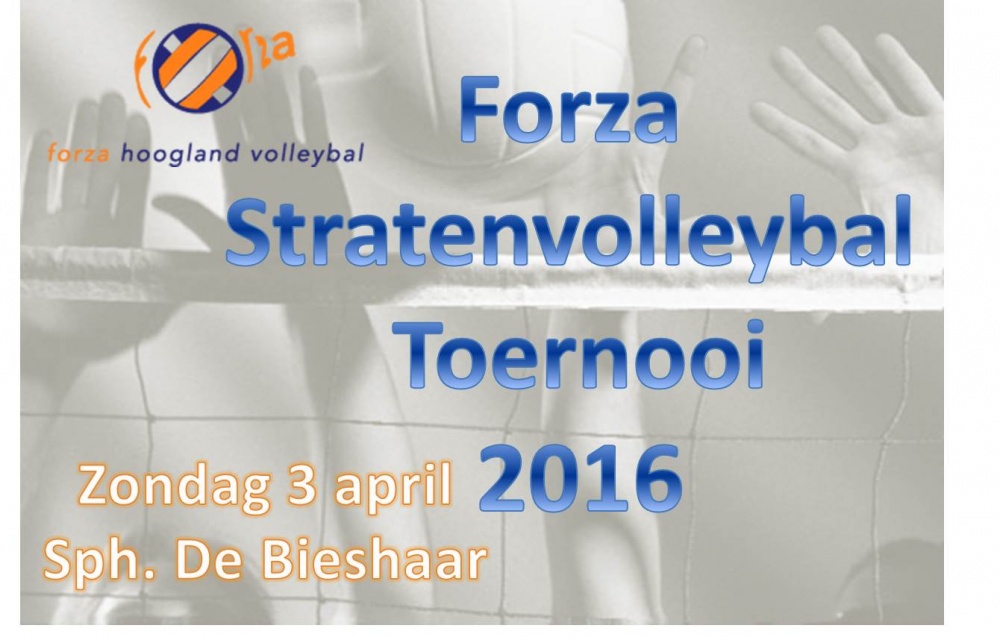 Afbeelding Stratenvolleybal toernooi 3 april 2016